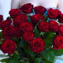 21 красная роза Гран При 70 см