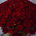 Букет 201 червона троянда Гран Прі, 60 см