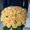 Троянда Аваланч Персик, 80 см