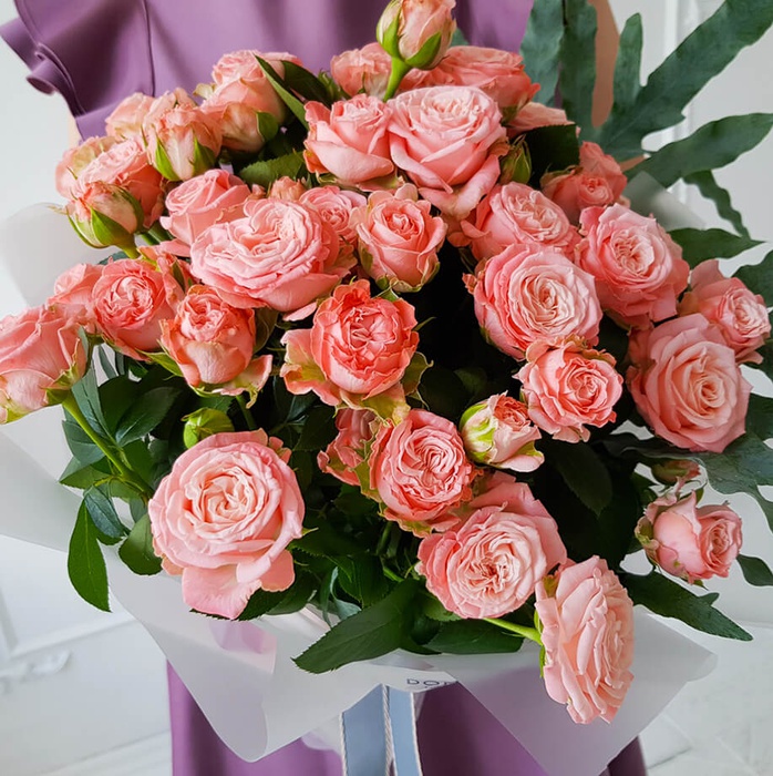 Троянда Мадам Бомбастік, 50 см