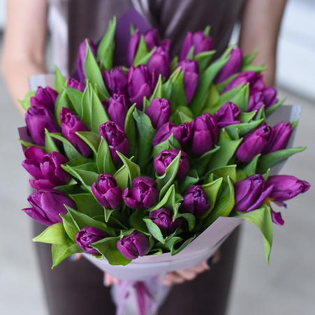 Букет 35 фиолетовых тюльпанов