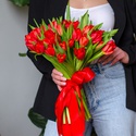 Букет 31 червоних тюльпанів зі стрічкою