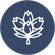 Popular products ico