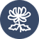 Popular products ico