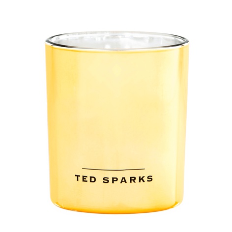 Свеча "Ваниль & Кедр" - Ted Sparks