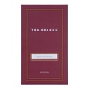 Аромадиффузор "Амбра & Дерево" - Ted Sparks