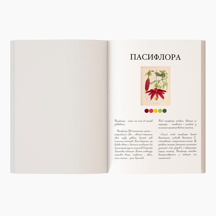 Книга-розмальовка "Квіти"