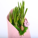 Сезонные цветы в конверте