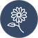 Popular products ico