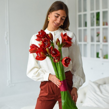 Букет из 5 красных амариллисов