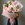 Букет з 15 півонієвидних троянд Тсумугі