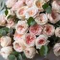 Букет з 35 півонієвидних троянд Девід Остін