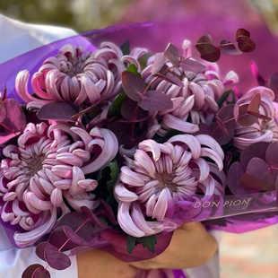 Букет 5 фіолетових хризантем Вієна