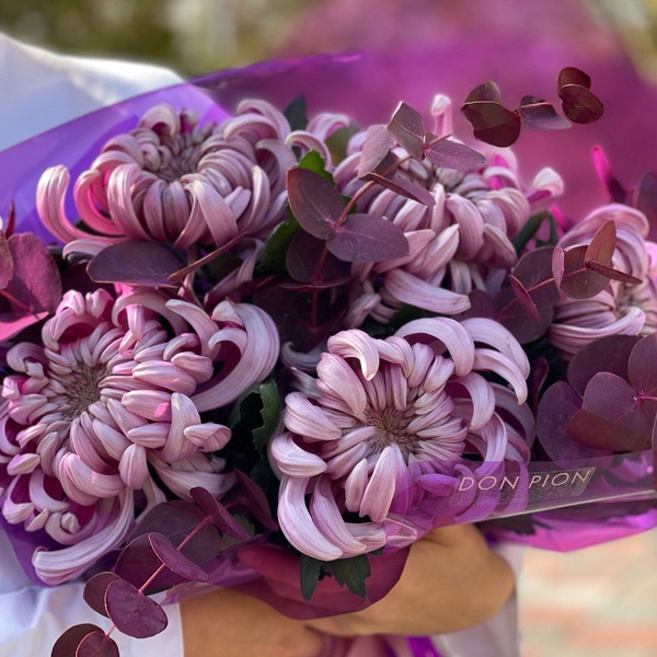 Букет 5 фіолетових хризантем Вієна