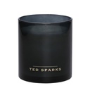 Ароматическая свеча Ted Sparks Белый чай & Ромашка