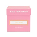 Свеча "Инжир & Виолетт" - Ted Sparks