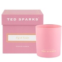 Свеча "Инжир & Виолетт" - Ted Sparks