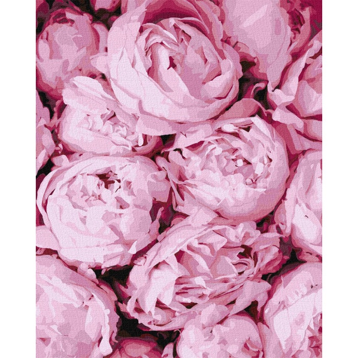 Картина за номерами "Рожева ніжність"