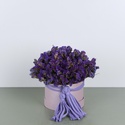 Цветы в коробке "Фиолетовая статица"
