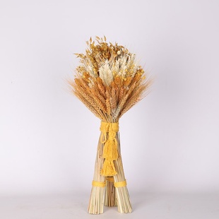 Дидух "Колосья благополучия"