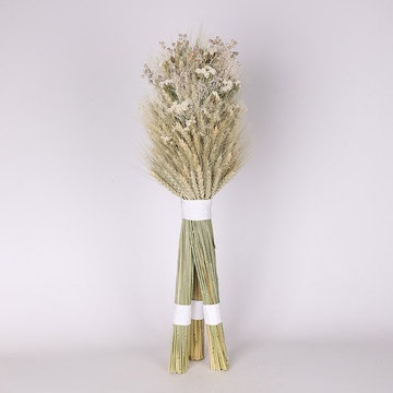 Дидух "Чистота традиций"