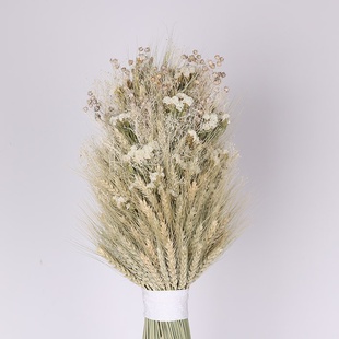 Дидух "Чистота традиций"