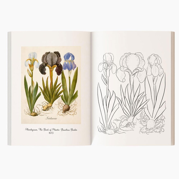 Книга-раскраска "Квіти"