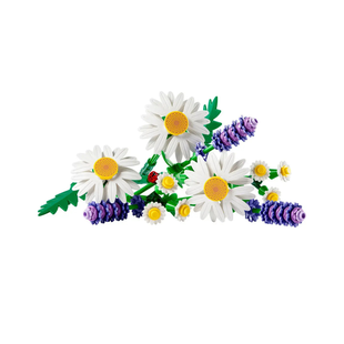 LEGO Botanicals Ромашки (11508)