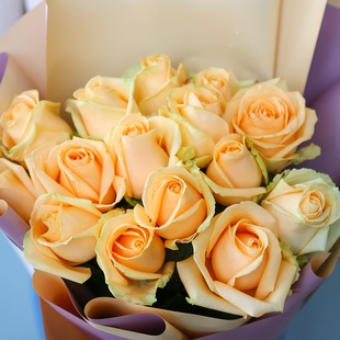 Букет 15 персиковых роз Аваланч