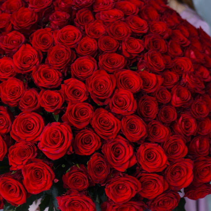 Букет 201 красная роза Mэри Mи, 80 см