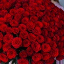 Букет 201 красная роза Mэри Mи, 80 см