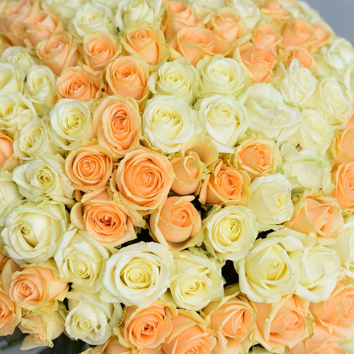 Букет микс из 201 белой и персиковой розы Аваланч