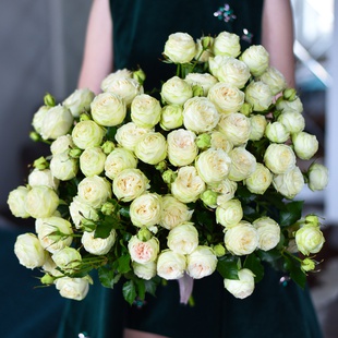 Букет из 21 веток кустовой розы Сноу Волд