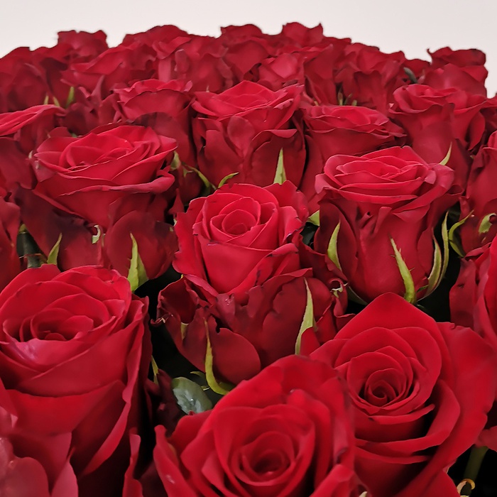 Букет 101 червона троянда Мері Мі 100 см