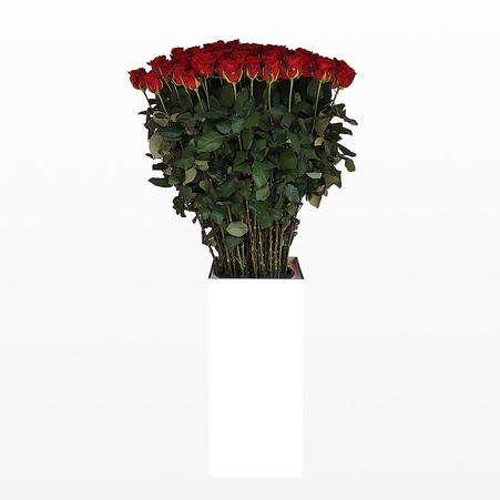 Букет 101 красная роза Мэри Ми 100 см