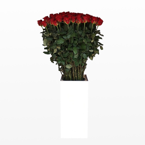 Букет 101 красная роза Мэри Ми 100 см