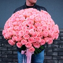 Букет 121 троянда Софі Лорен