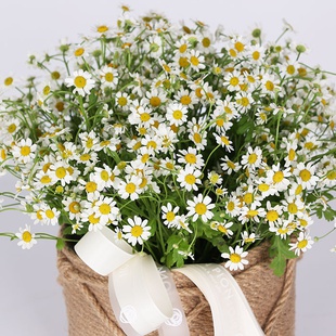 Квіти у кошику "21 ромашка"