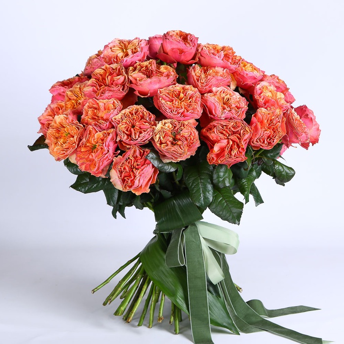 Букет 51 роза Кенсингтон Гарденз