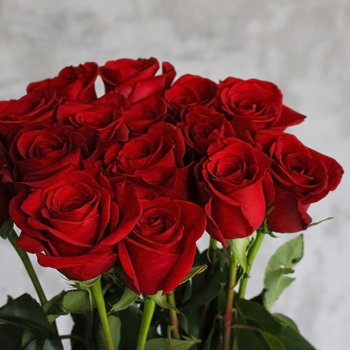 Букет з 15 троянд Фрідом, 160 см