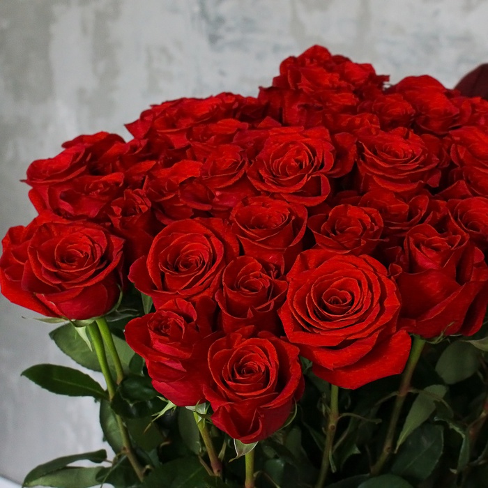 Букет из 51 розы Фридом, 160 см