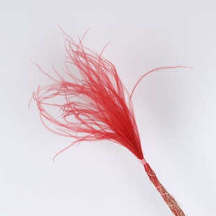 Стифа красная