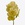 Орхідея Ванда Yellow Henna гілка
