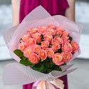 Троянда Міс Піггі, 60 см