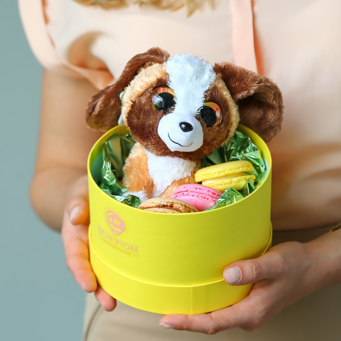Подарочный набор с мягкой игрушкой и макаронами "Собачка"