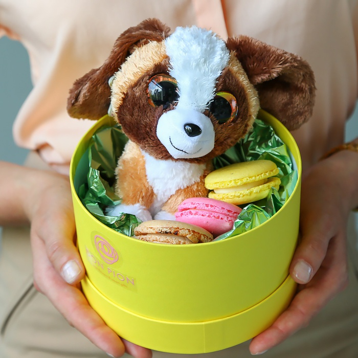 Подарочный набор с мягкой игрушкой и макаронами "Собачка"