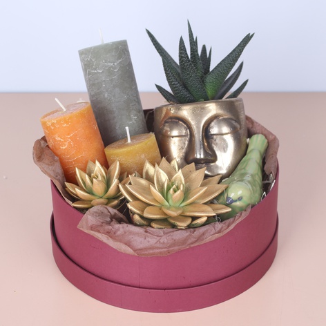 Подарочный набор с растениями и свечами "Теплый презент"