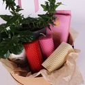 Подарочный набор с растениями и свечами "Теплый презент"
