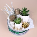Подарочный набор с растениями и свечами "Практичный"