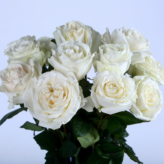 Подарунковий набір з трояндами, вазою та свічкою "Плая"